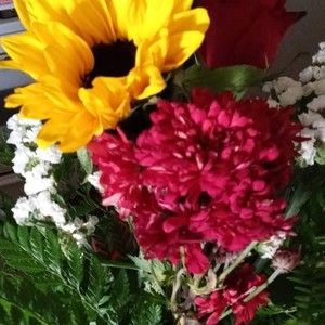 Meet your Posher, Mandy